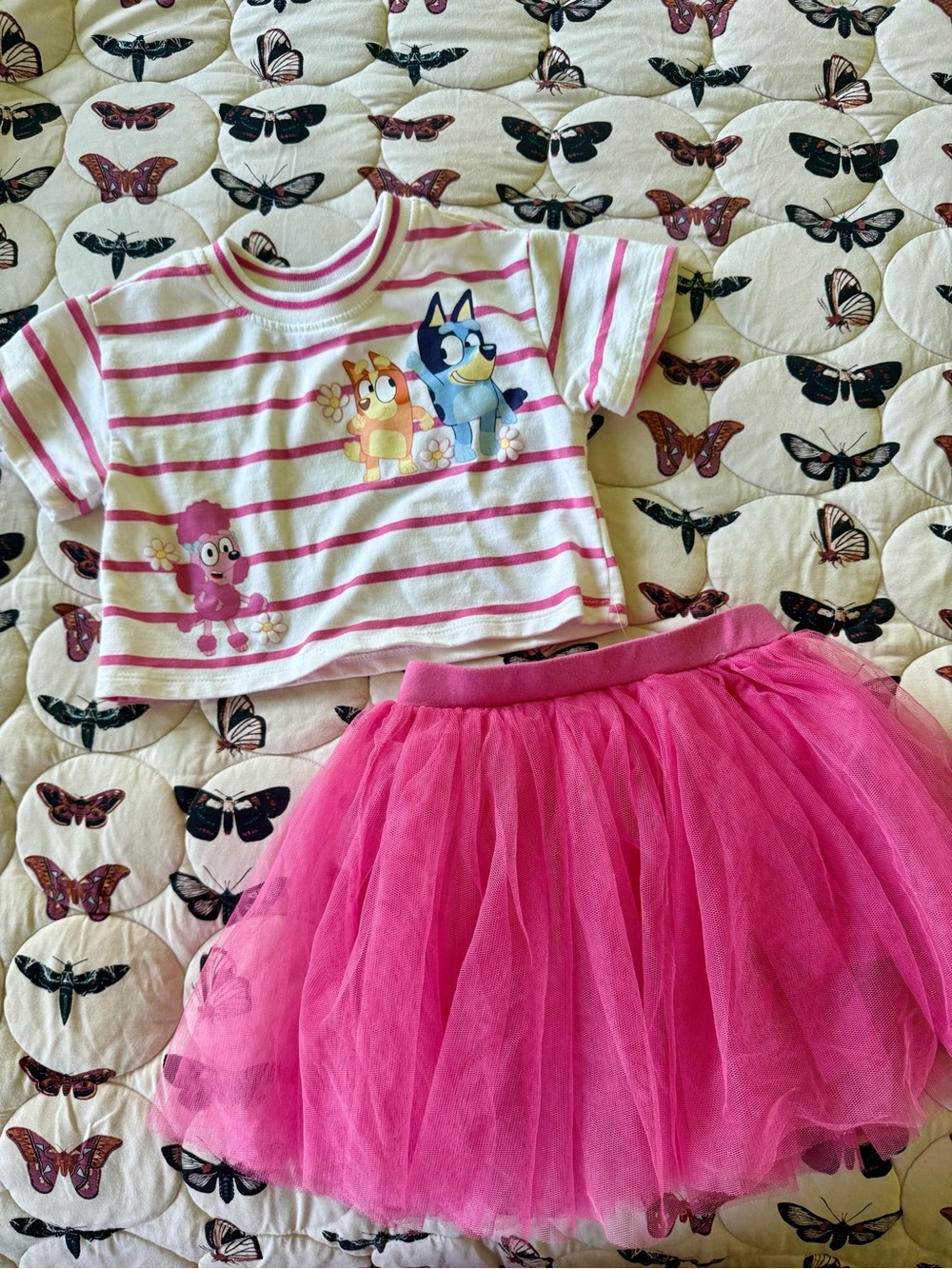 Bluey T Shirt & Pink Tutu Set